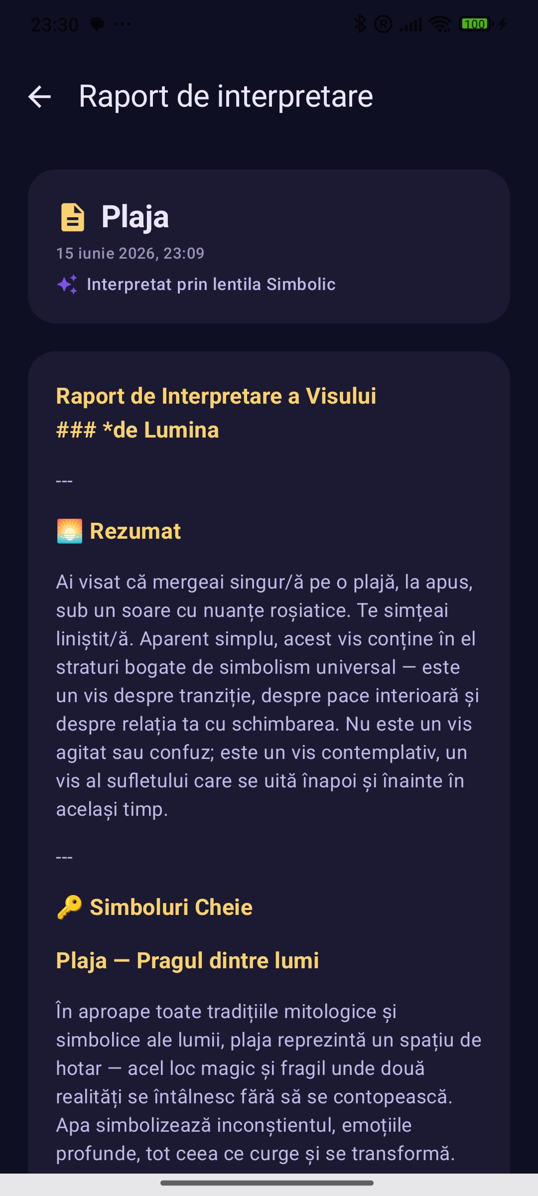 Raport de interpretare a visului — rezumat și simboluri-cheie